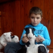 4 a pol-t��d�ov�
