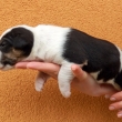 EBY - na fotke 17-d�ov�