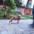 FANY - 3 a pol-mesa�n�