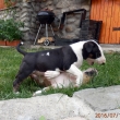 7 - t��d�ov�