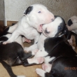 3-t��d�ov�