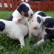 3-t��d�ov�