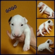 na fotk�ch 3-t��d�ov�