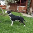 DORRIS - na fotke 1-ro�n�