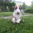 EDGAR - na fotke 4-t��d�ov�