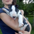 DUSTIN - na fotke 7 a pol-t��d�ov�