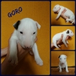 na fotk�ch 3-t��d�ov�